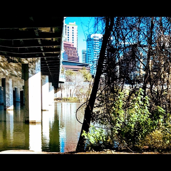 Meet your Posher, Haley - Picture 8 of 16